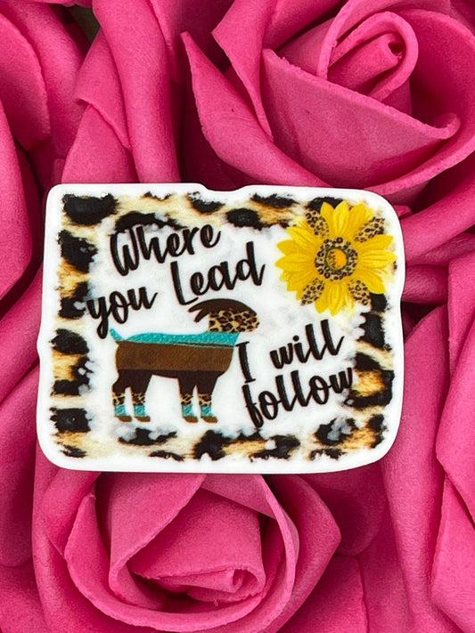 #1420 Where you lead i will follow