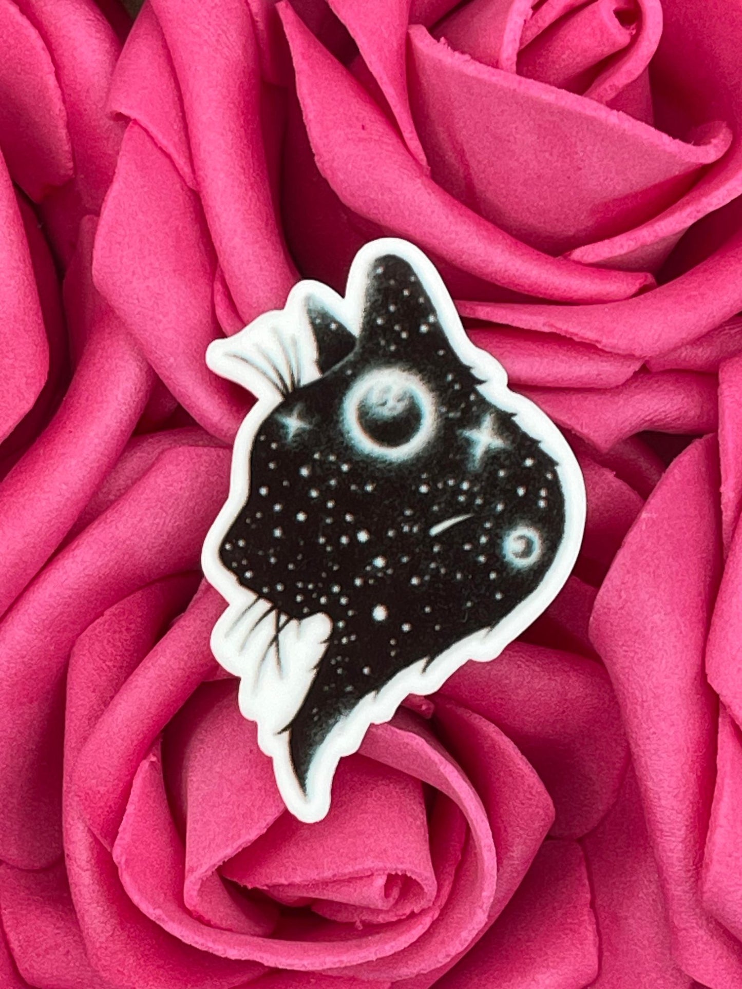 #219 Cat midnight stars