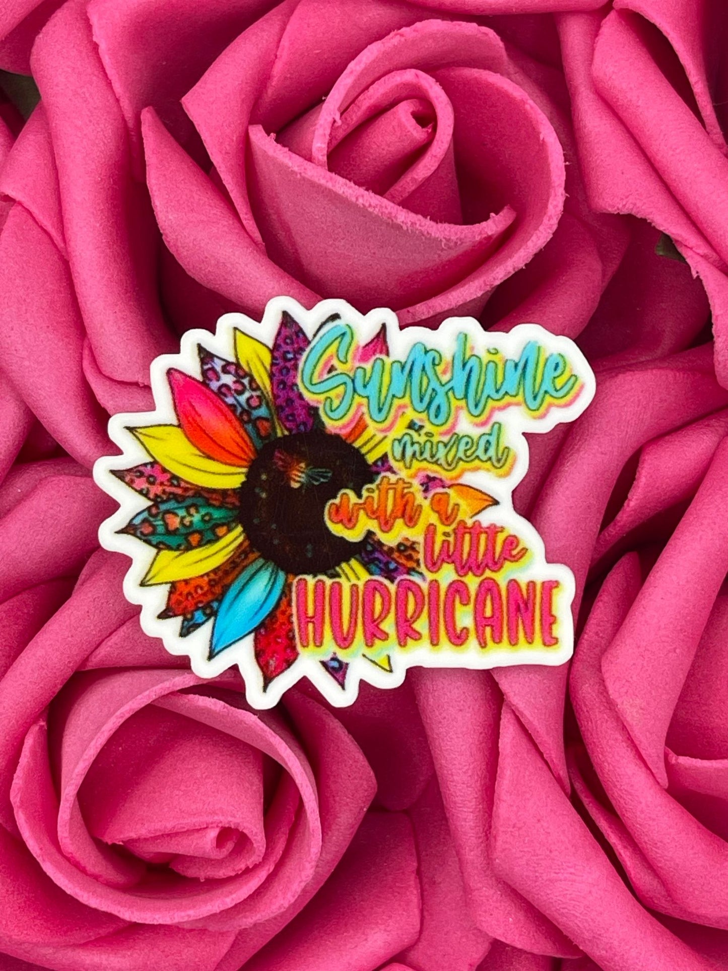 #1286 Sunshine mixed with a little hurricane