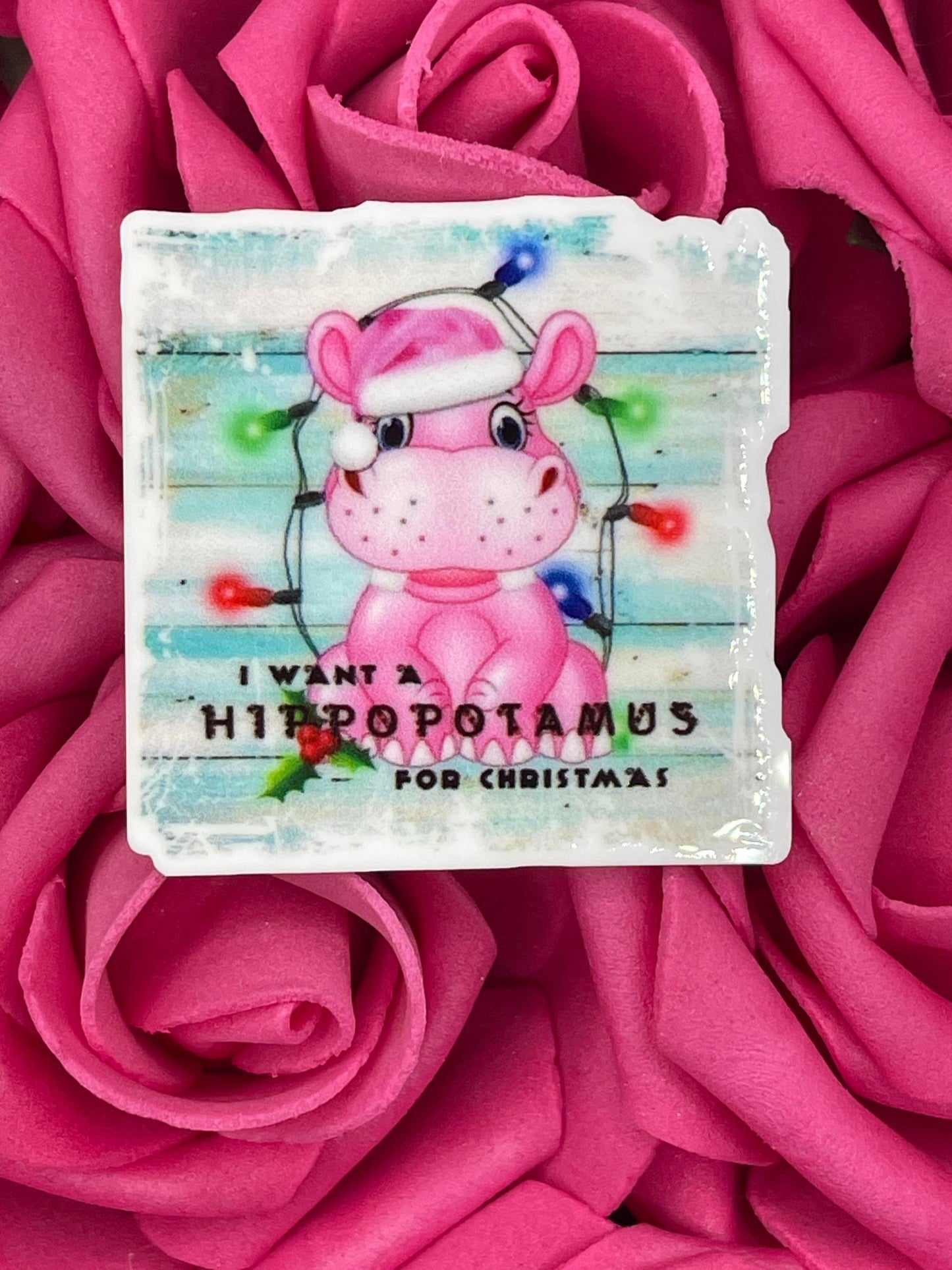 #634 I want a hippopotamus