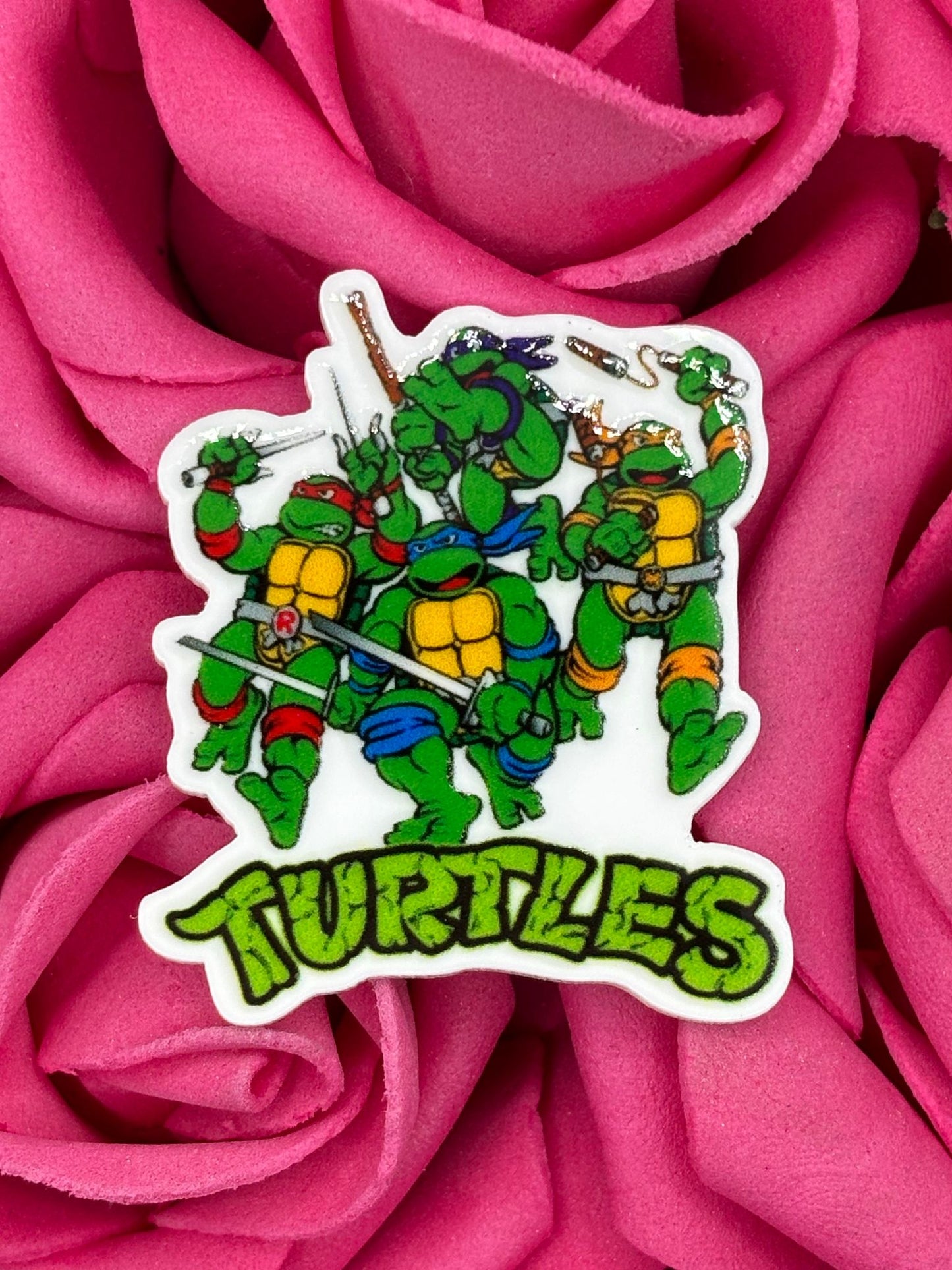 #2705 Turtles