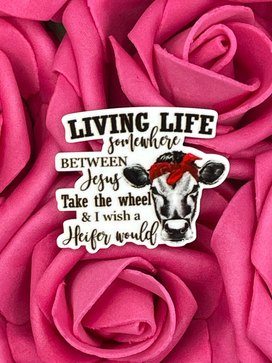 #738 Living Life cow