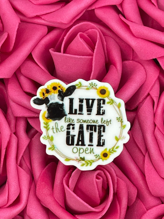 #734 Live like the gate is open