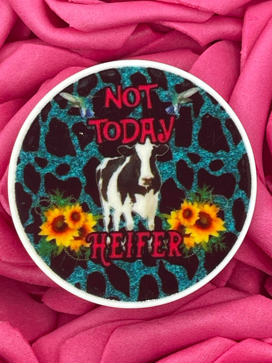 #917 Not today heifer