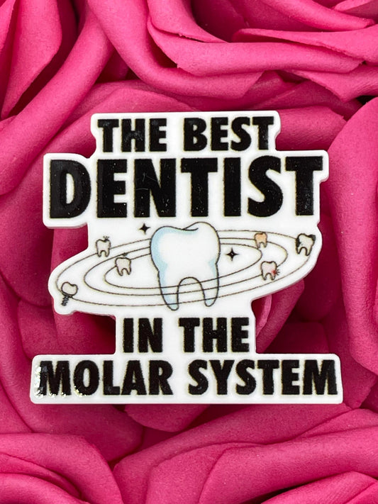 #1342 The best Dentist