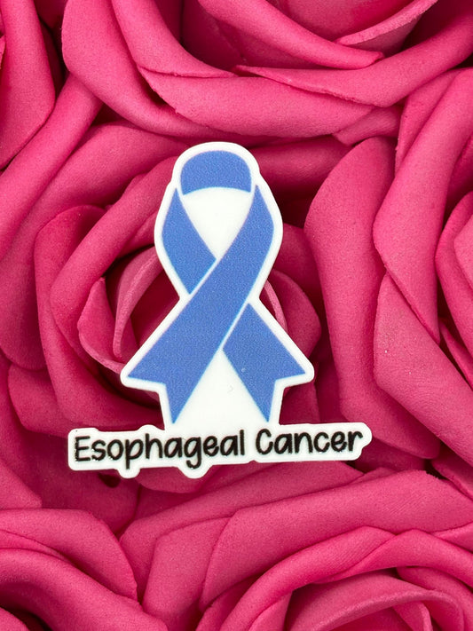 #2398 Esophageal Cancer