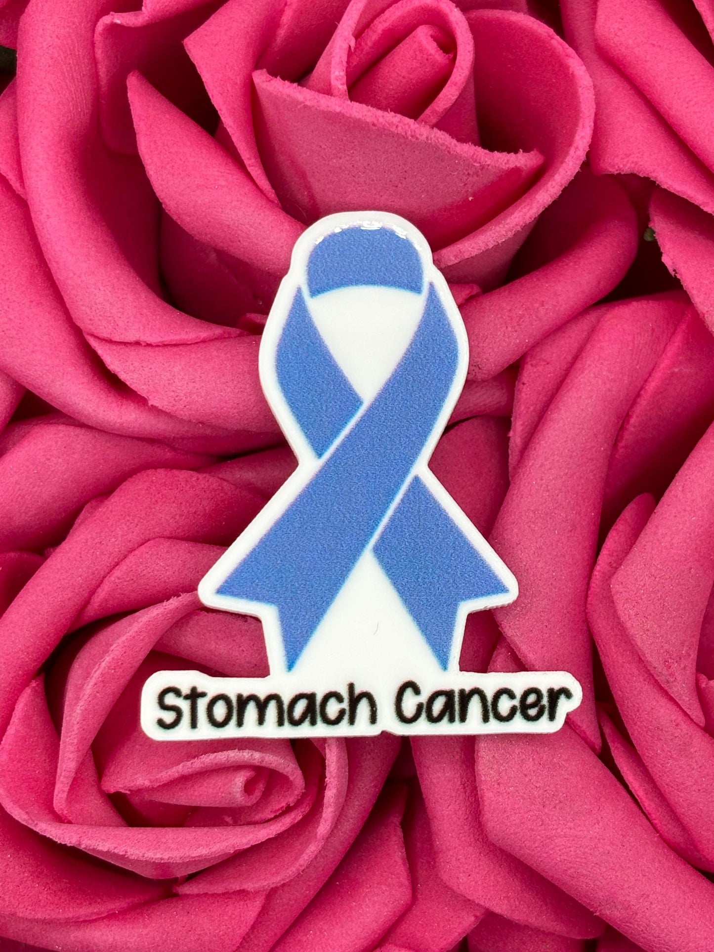 #2407 Stomach Cancer