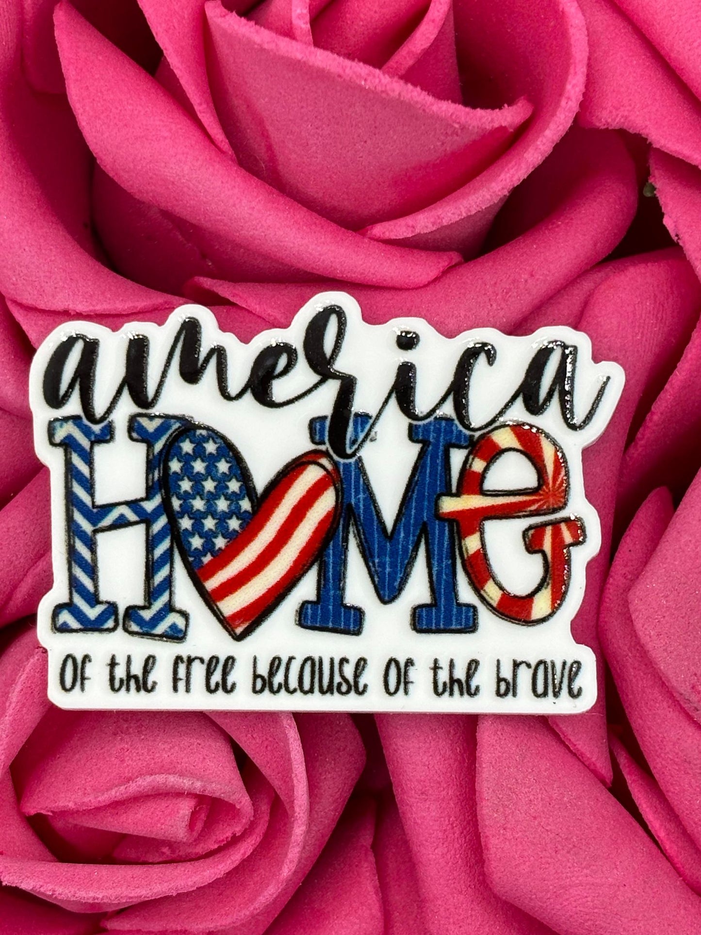 #2695 America Home