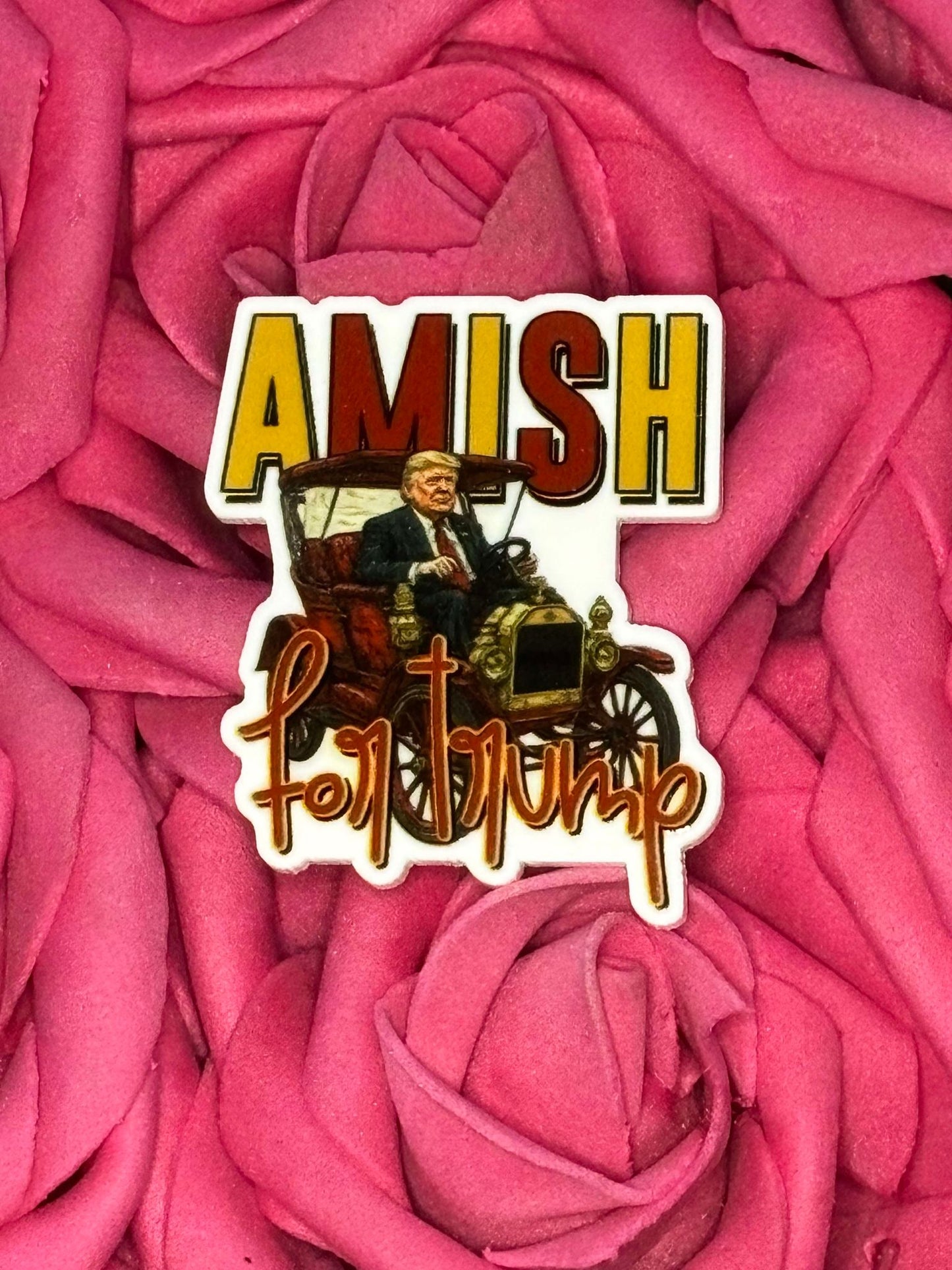 #3619 Amish