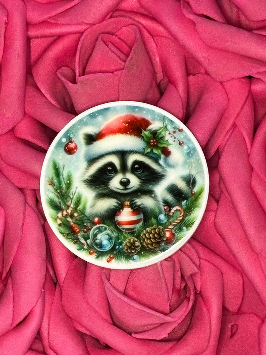 #3569 Racoon